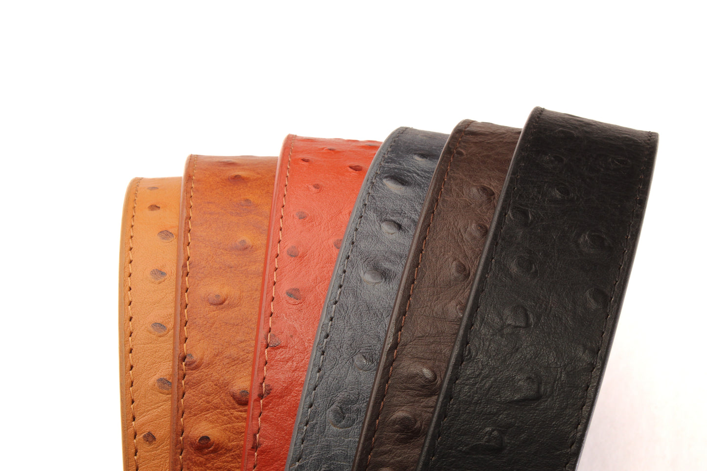 Ostrich-Embossed Vegetable Tanned Leather - Anson Belt & Buckle