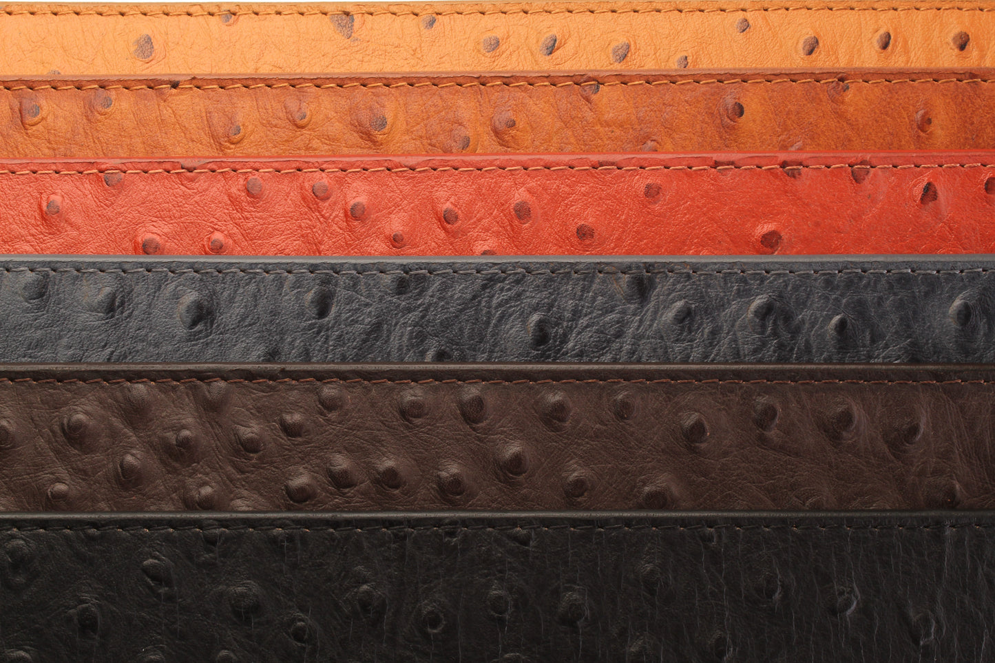 Ostrich-Embossed Vegetable Tanned Leather - Anson Belt & Buckle