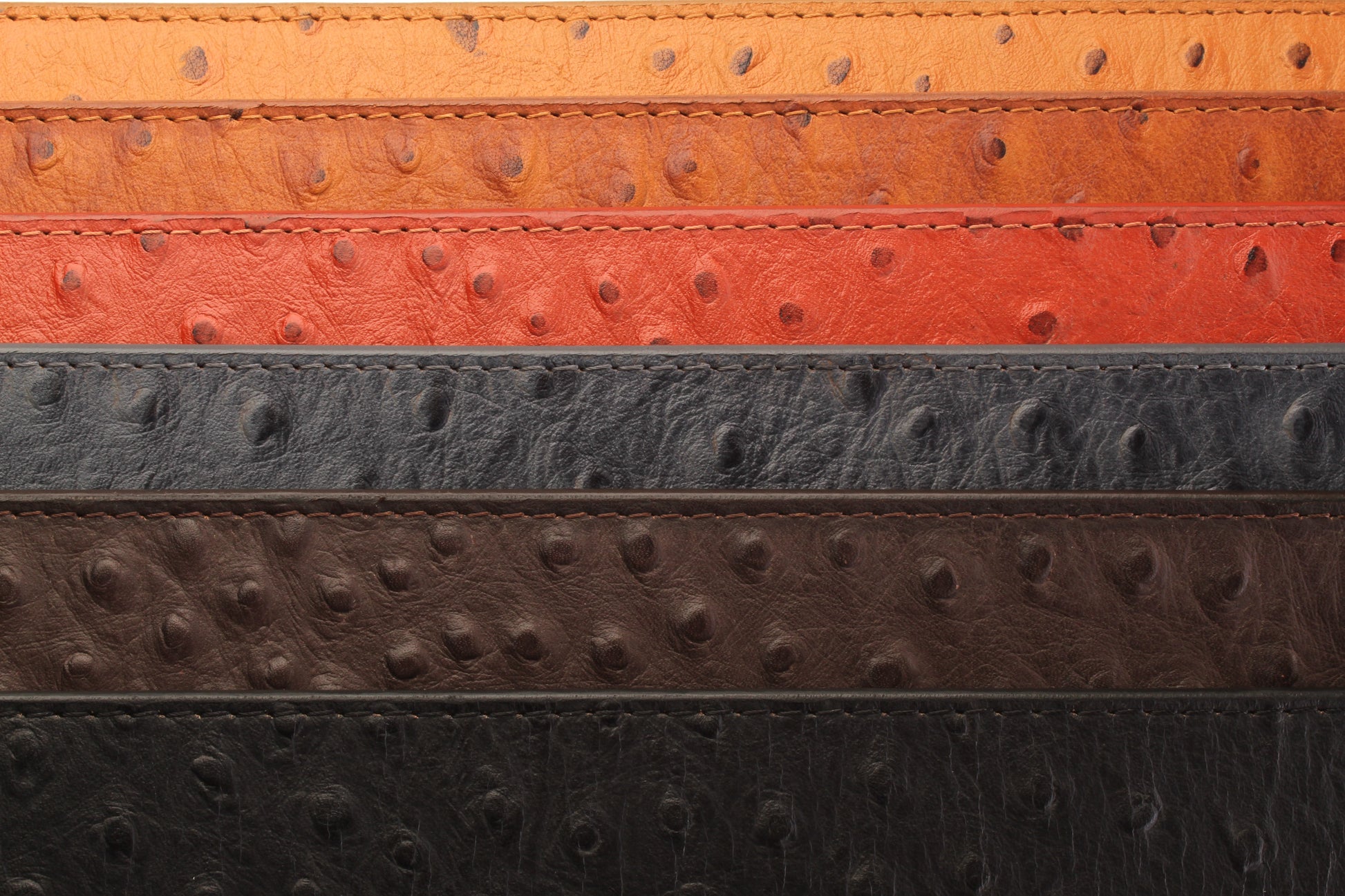 Ostrich-Embossed Vegetable Tanned Leather - Anson Belt & Buckle