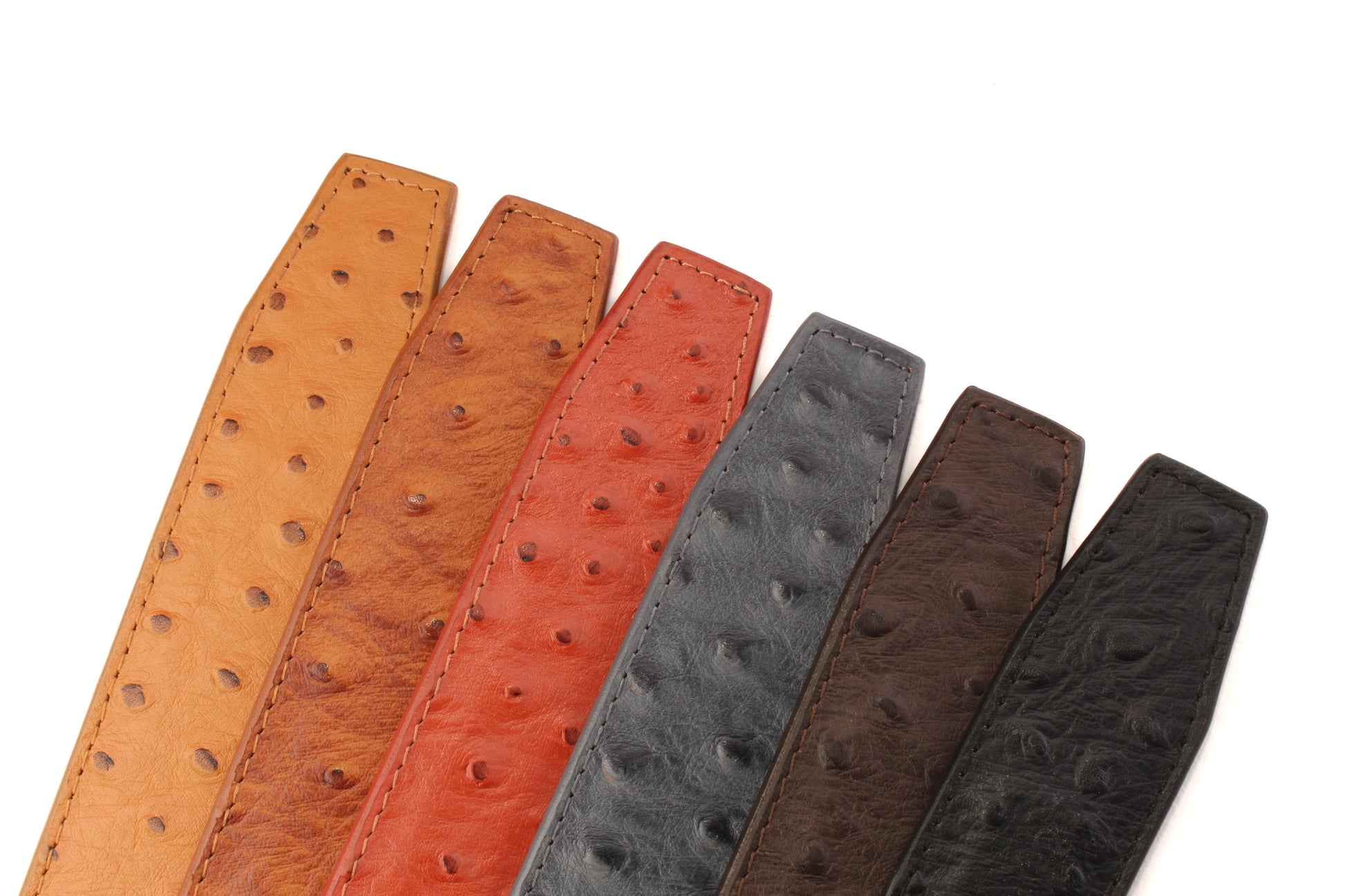 Ostrich-Embossed Vegetable Tanned Leather - Anson Belt & Buckle