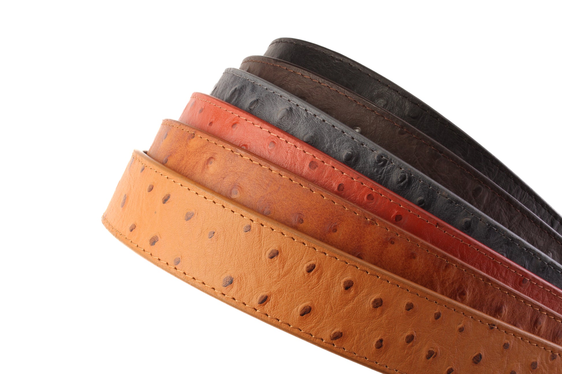 Ostrich-Embossed Vegetable Tanned Leather - Anson Belt & Buckle