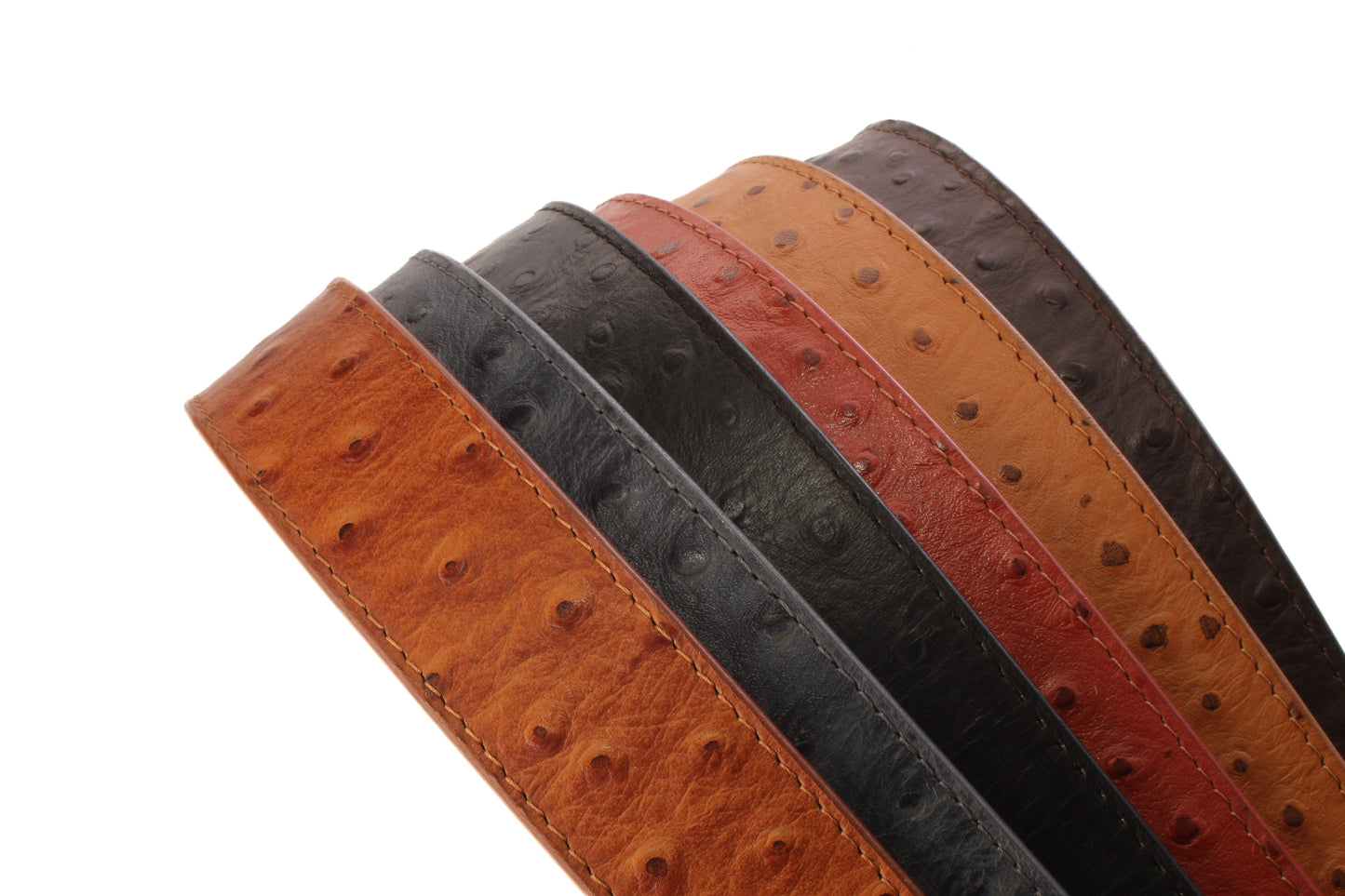 Ostrich-Embossed Vegetable Tanned Leather - Anson Belt & Buckle