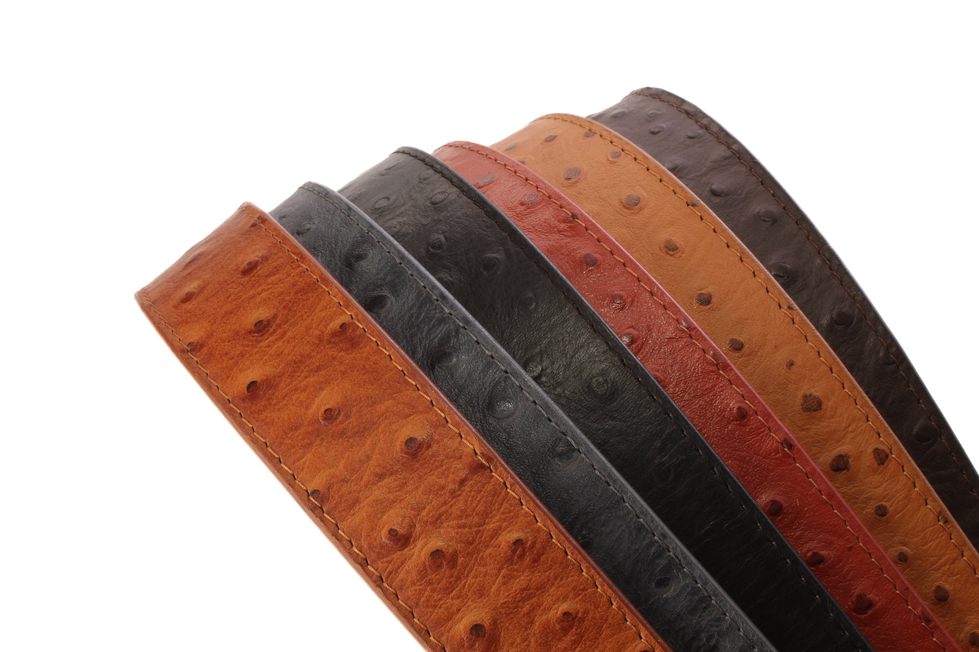 Ostrich-Embossed Vegetable Tanned Leather - Anson Belt & Buckle