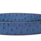 **LIMITED RELEASE** Ostrich - Embossed Leather (strap only)