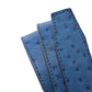 **LIMITED RELEASE** Ostrich - Embossed Leather (strap only)