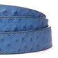 **LIMITED RELEASE** Ostrich - Embossed Leather (strap only)