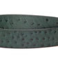 **LIMITED RELEASE** Ostrich - Embossed Leather (strap only)
