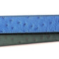 **LIMITED RELEASE** Ostrich - Embossed Leather (strap only)